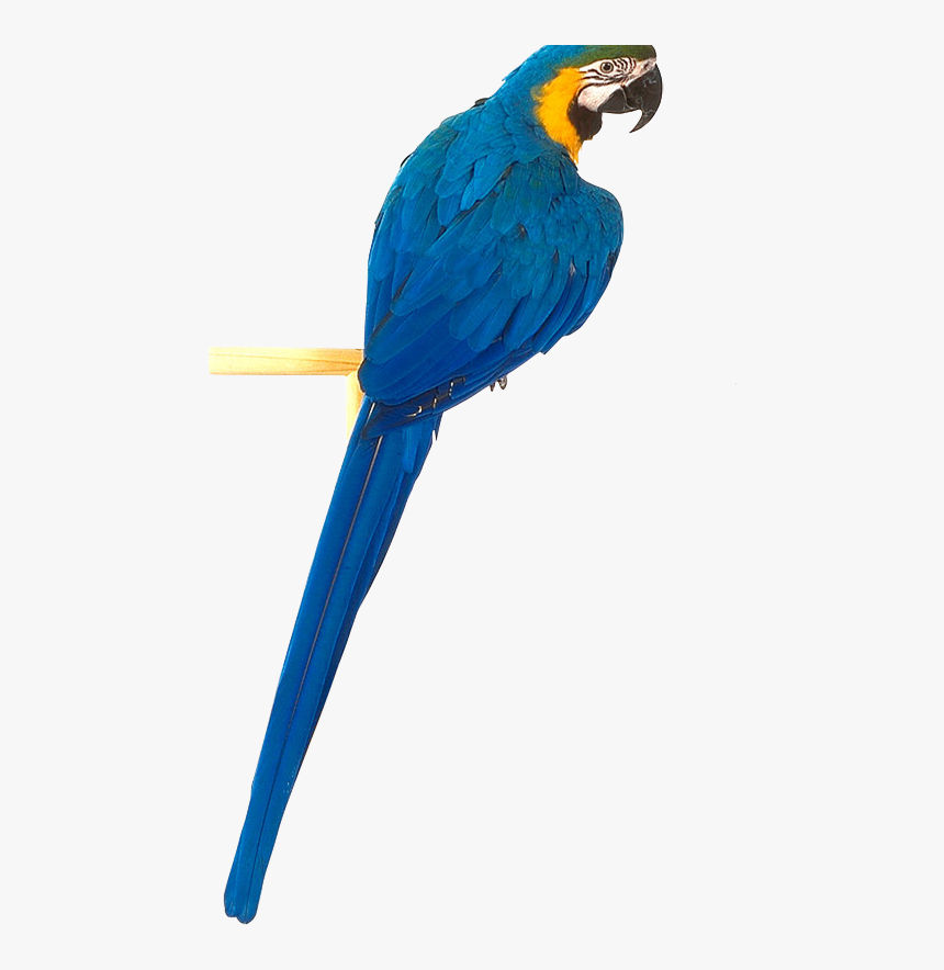 Ten Isolated Stock Photo, HD Png Download