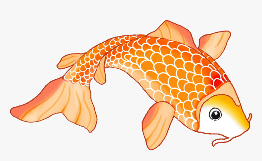 Colorful Koi Fish, HD Png Download