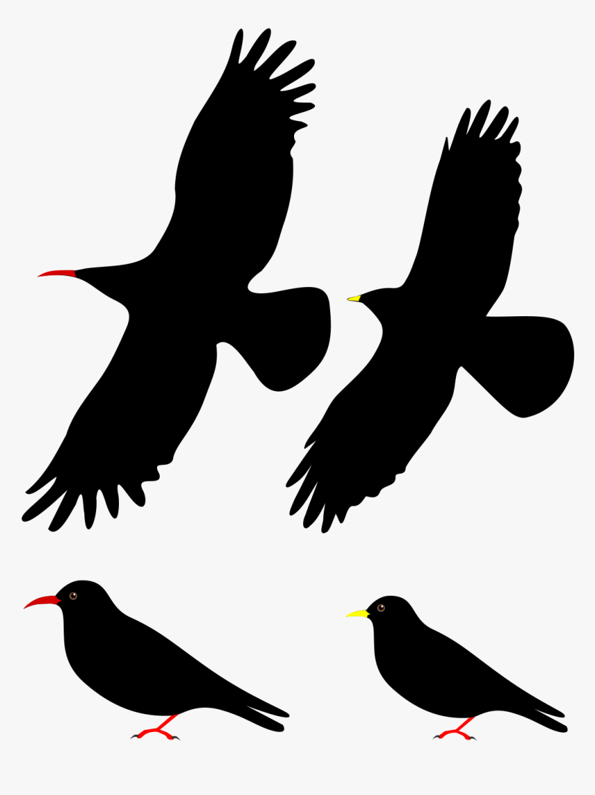 Isolated Birds Png, Transparent Png