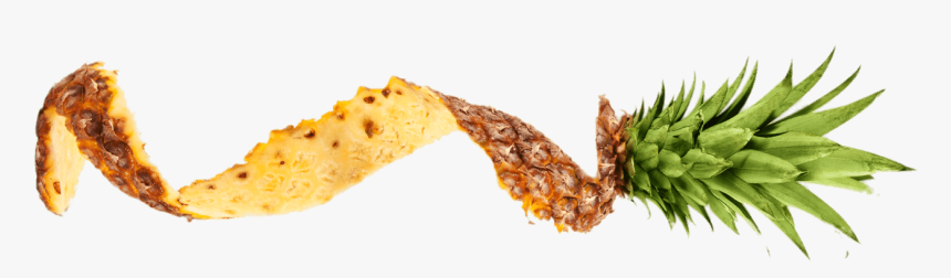 Pineapple Peel, HD Png Download