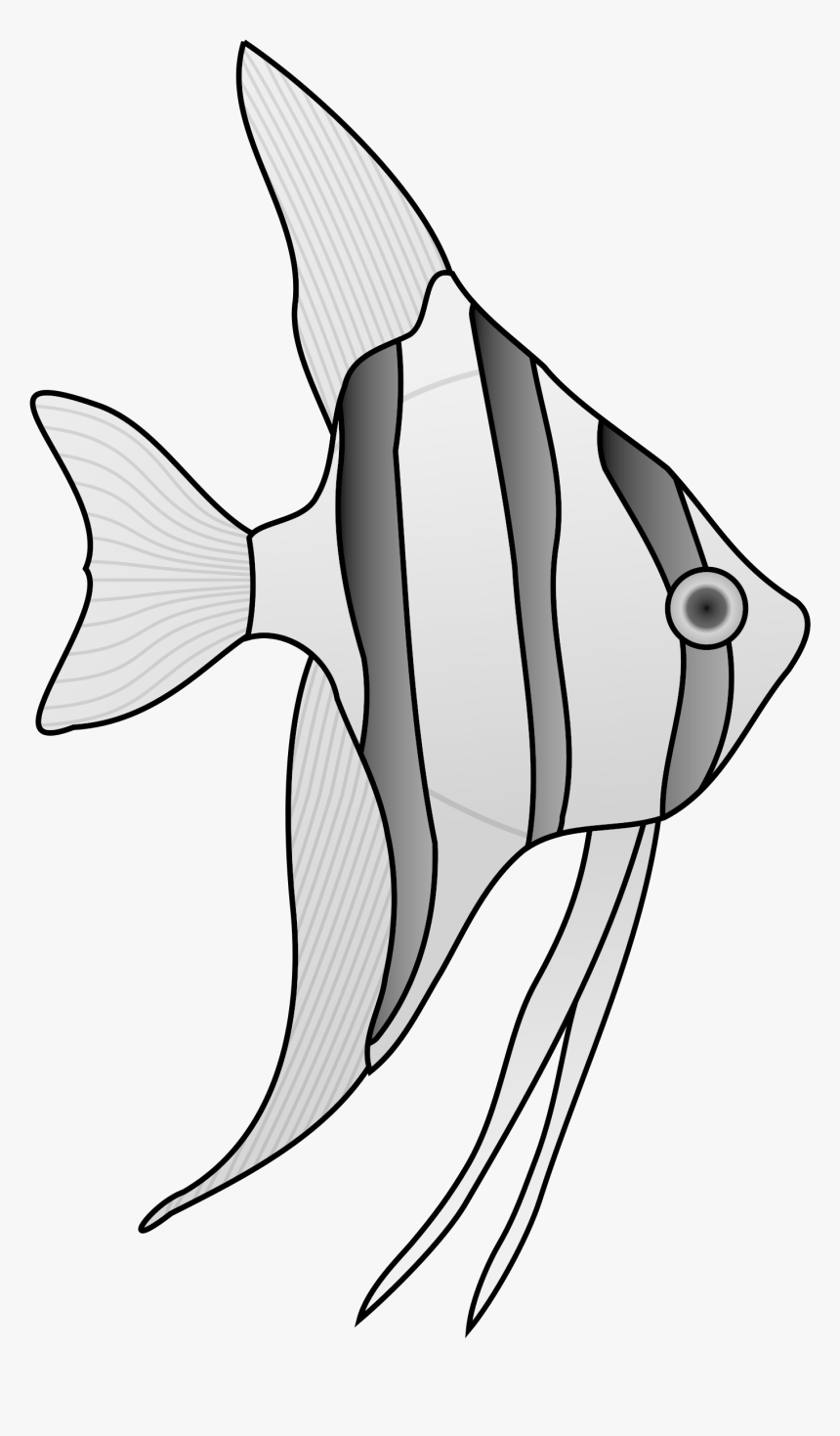 Clip Art Collection Of Free Angelfish, HD Png Download