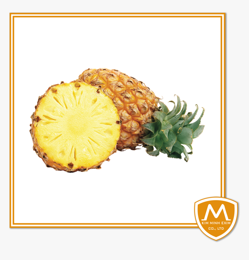 Transparent Pineapple Png, Png Download