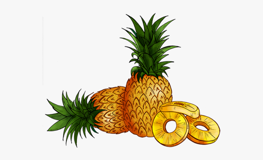Clipart Banner Pineapple, HD Png Download