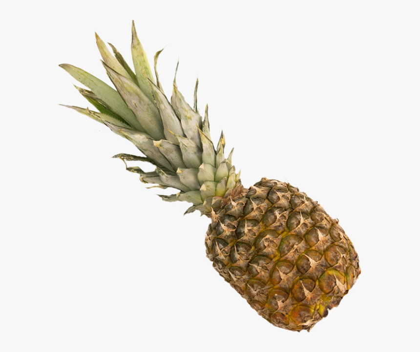 Pineapple , Png Download, Transparent Png