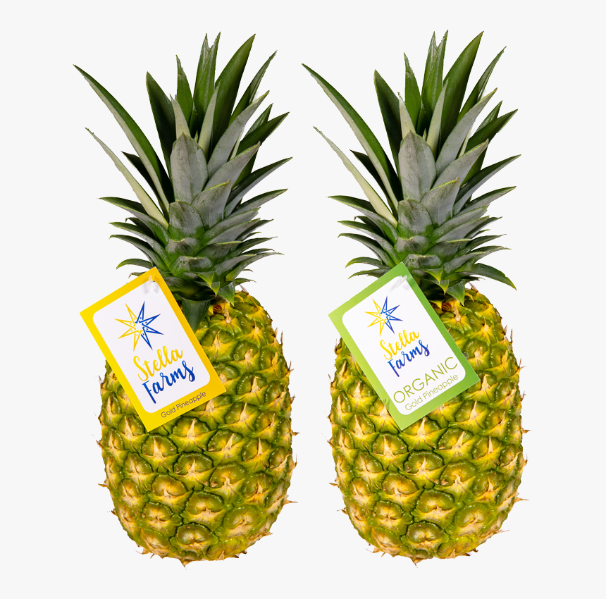 Transparent Gold Pineapple Png, Png Download