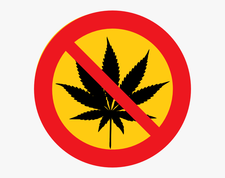 No Drugs Png, Transparent Png