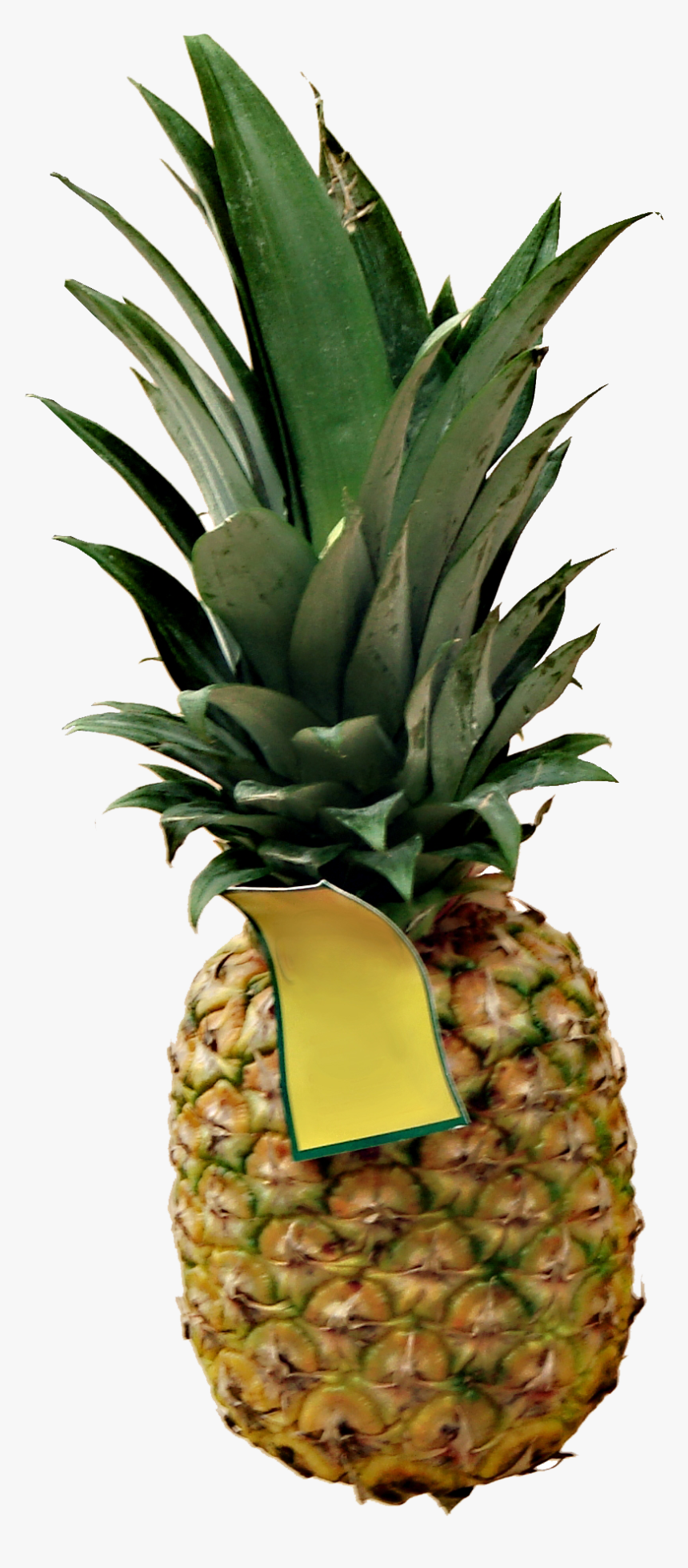 High Definition Pineapple Png Picture Download, Transparent Png