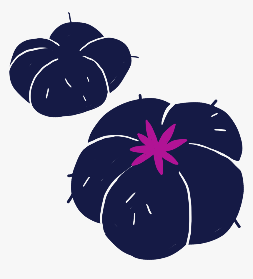 No Drugs Png, Transparent Png