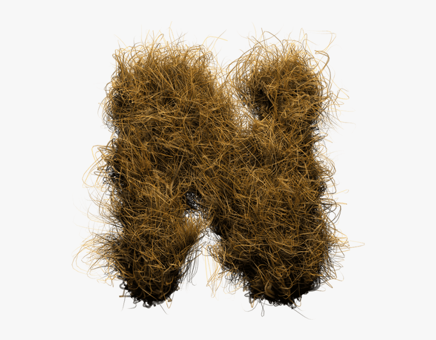 Hay Fur Font, HD Png Download
