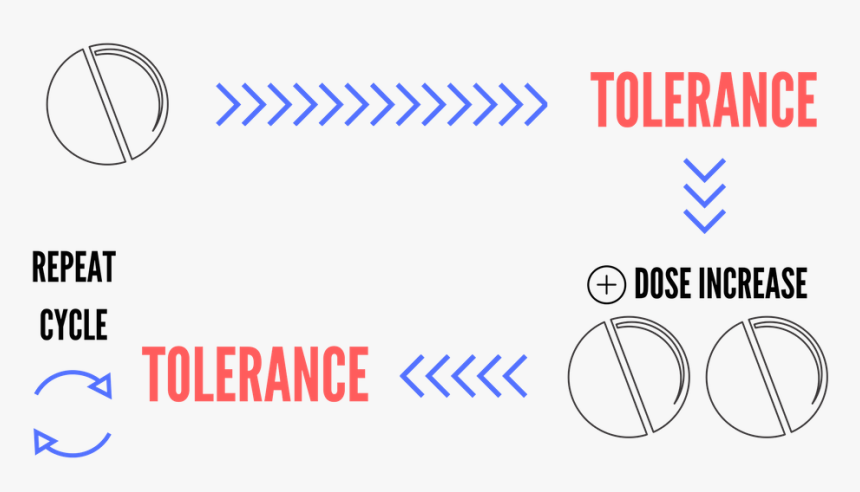 No Drugs Png, Transparent Png