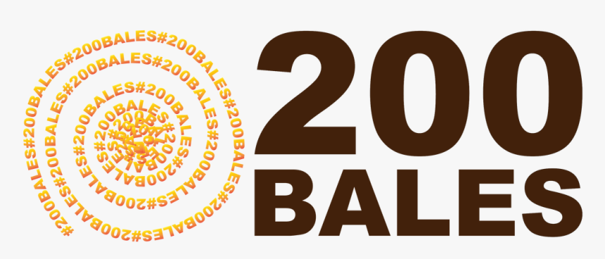 Picture, HD Png Download