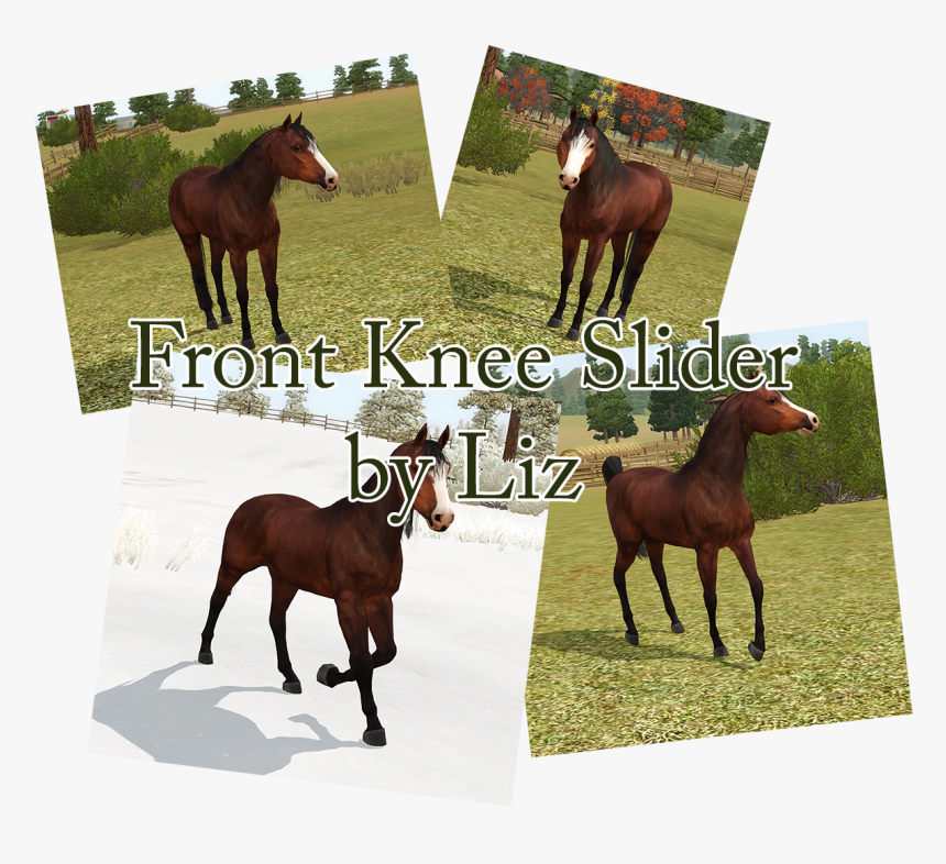 Image, HD Png Download