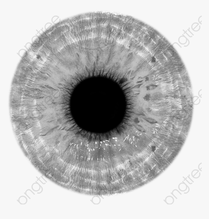 Eye Iris Png, Transparent Png