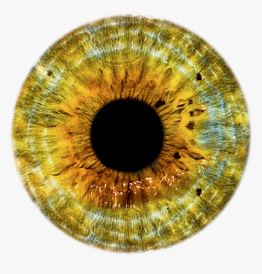 Eye Iris Png, Transparent Png