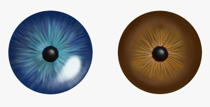 Eye, Iris, Blue, Fish Eye, Macro, Eyes, Cat Eye, HD Png Download