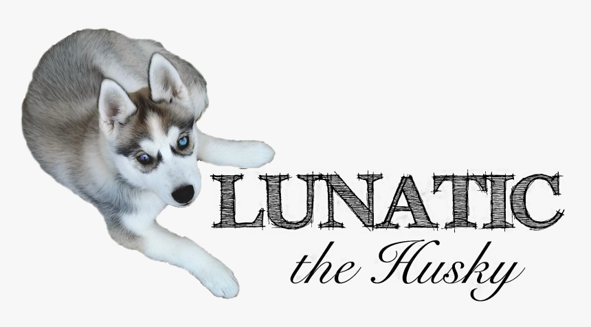 Husky Puppy Png, Transparent Png