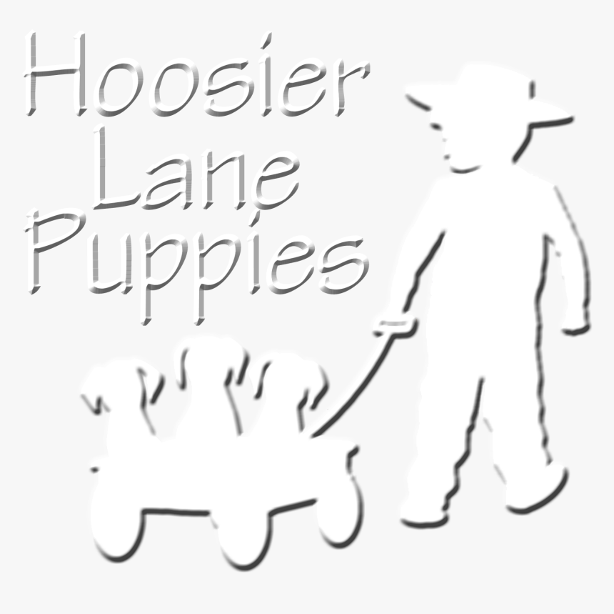 Husky Puppy Png, Transparent Png