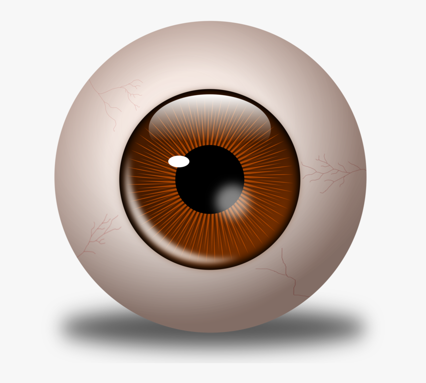 Iris,close Up,eye, HD Png Download