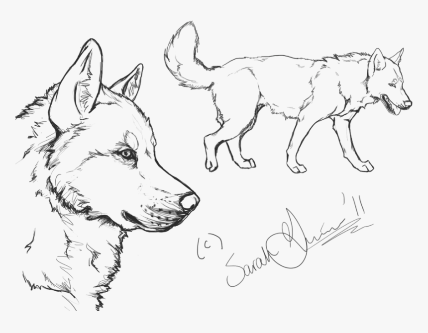 Husky Puppy Png, Transparent Png