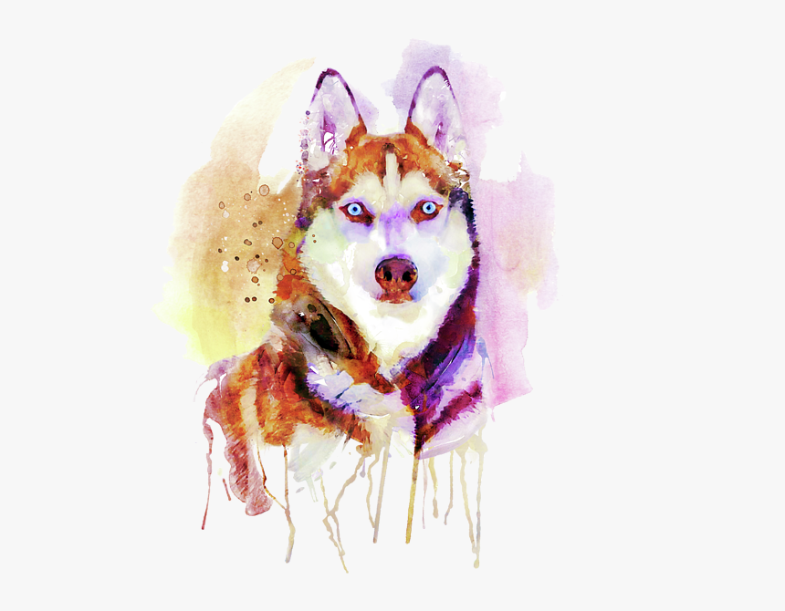 Husky Puppy Png, Transparent Png