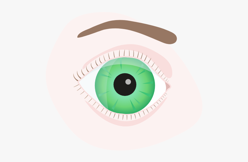 Eye Iris Png, Transparent Png