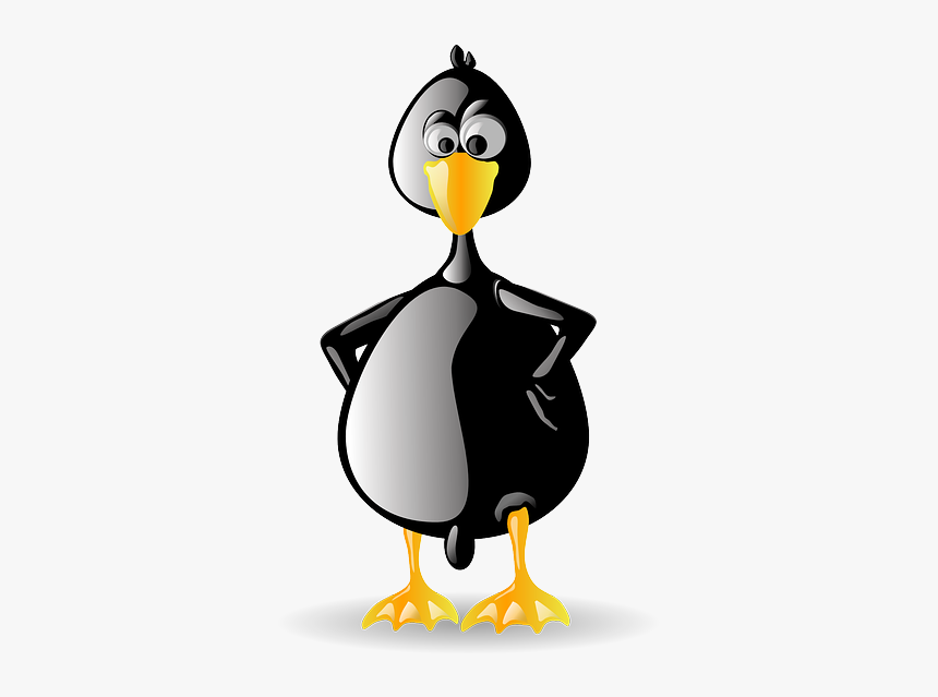 Penguin, Tux, Animal, Bird, Black, Beak, Zoo, Linux, HD Png Download