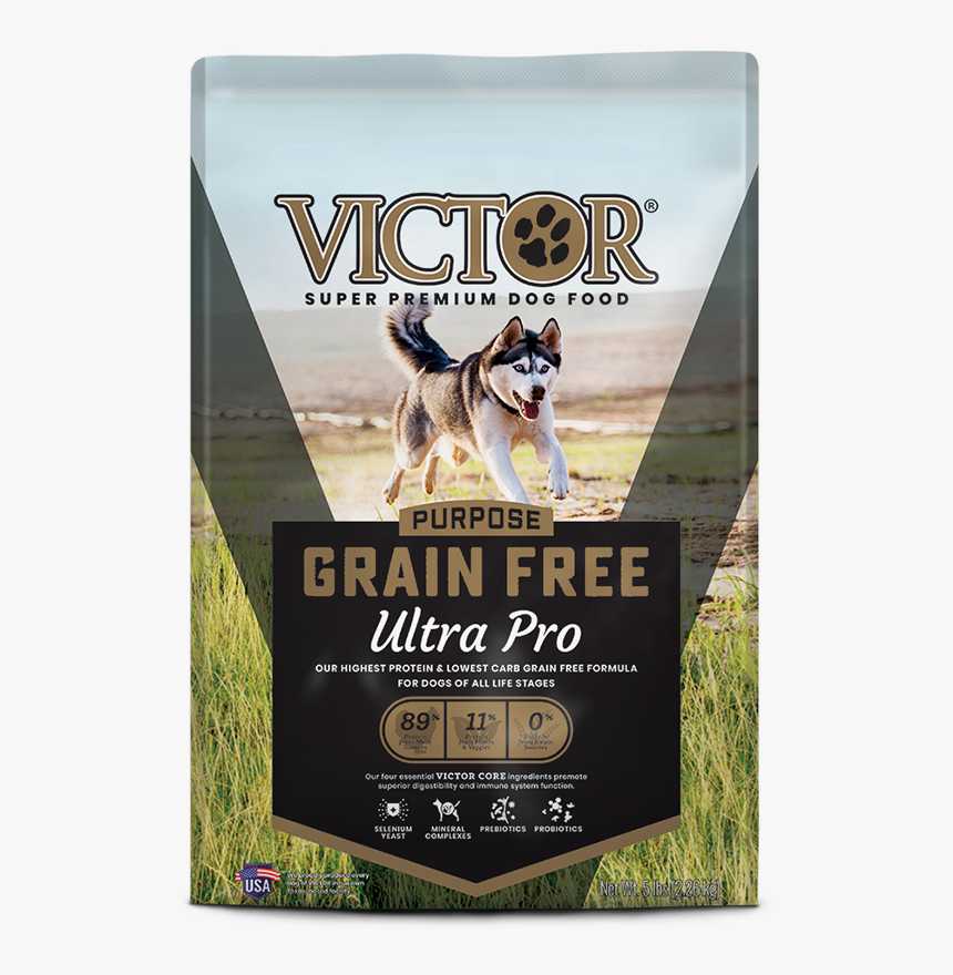 Husky Puppy Png, Transparent Png