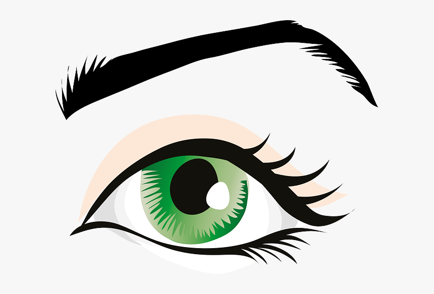 Green Eyes, Eyelid, Iris, Eyebrows, Brows, Seeing, HD Png Download