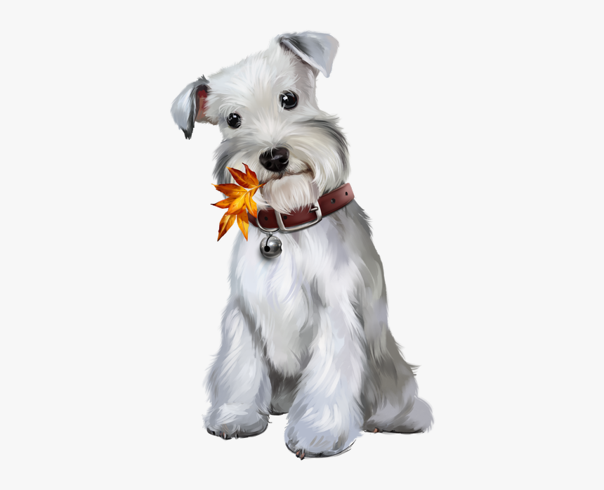 Chiens Puppies Wallpapers Clip, HD Png Download
