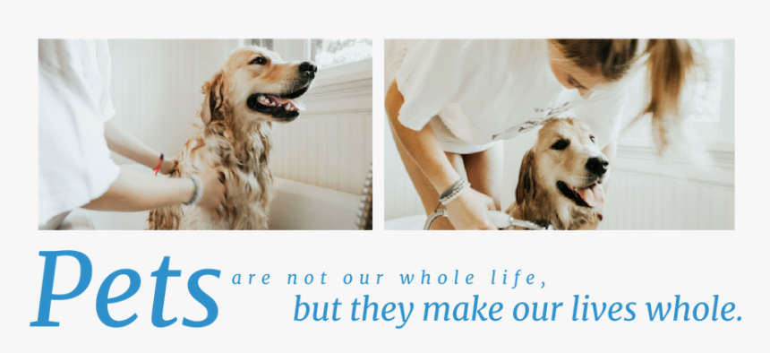 Pets Are Not Our Whole Life But They Make Our Lives, HD Png Download