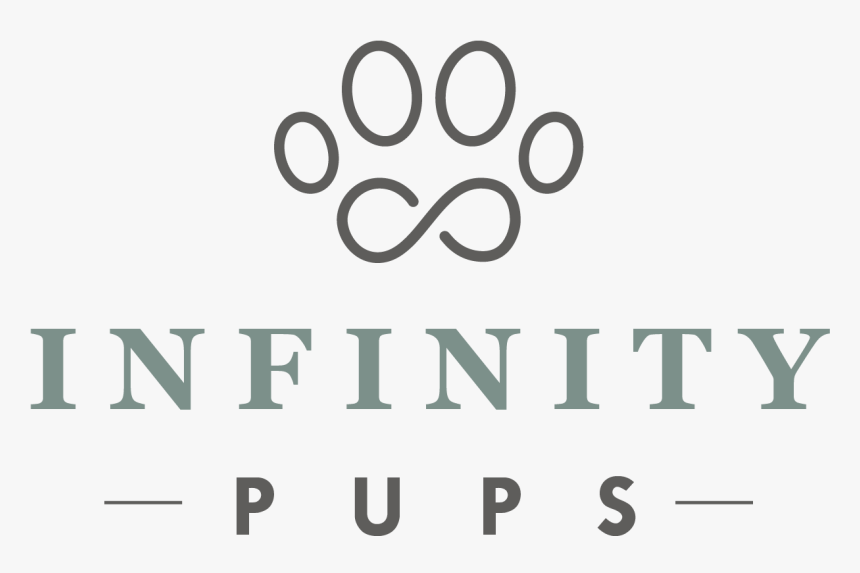 Husky Puppy Png, Transparent Png