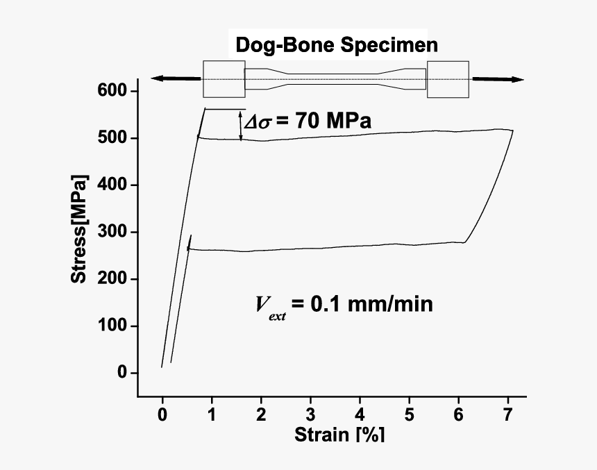 White Dog Bone Png, Transparent Png