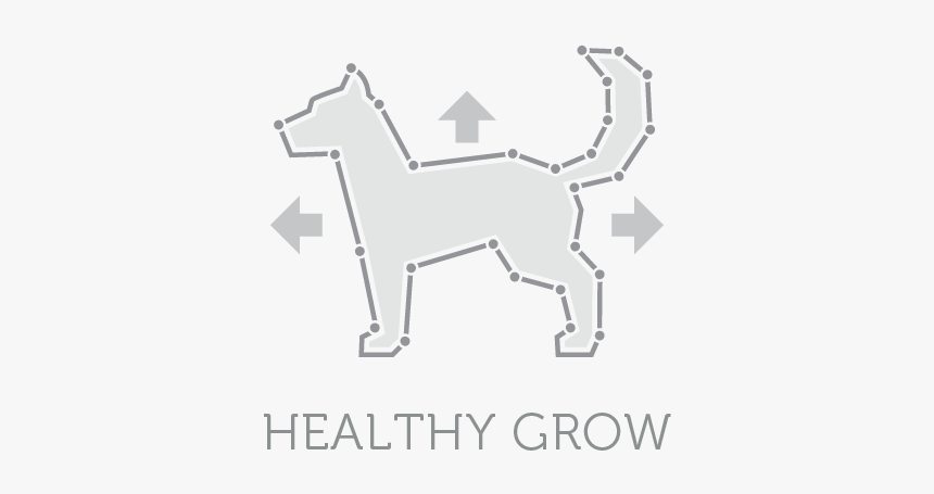 White Dog Bone Png, Transparent Png