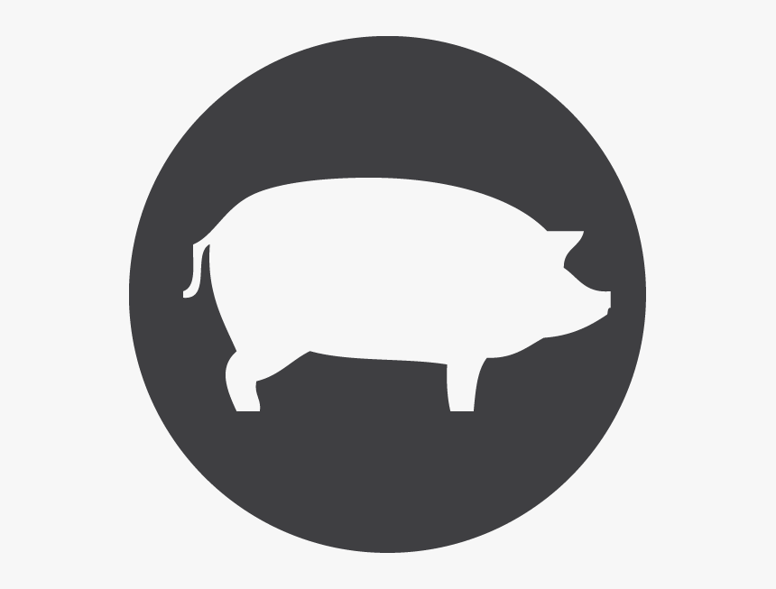 Computer Icons Ham, HD Png Download