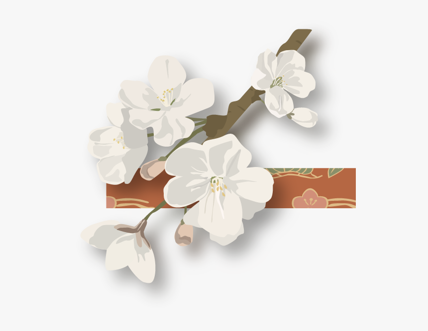 Dsc 8051shadow Flowers Left Flowers Right, HD Png Download