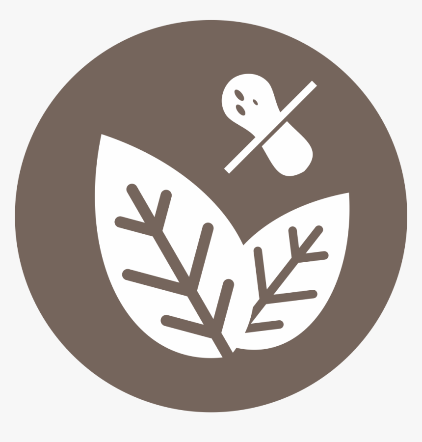 Transparent Pig Roast Png, Png Download