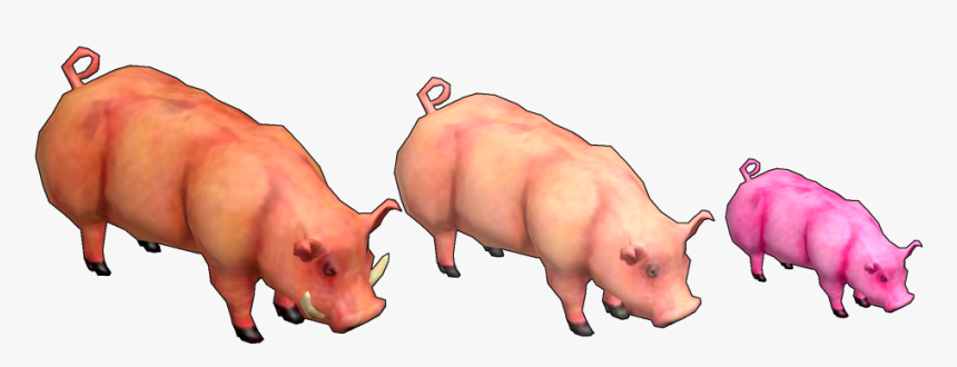 Pig Roast Png, Transparent Png