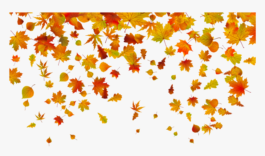 Leaf Color Leaves Autumn Fall Transparent Clipart, HD Png Download