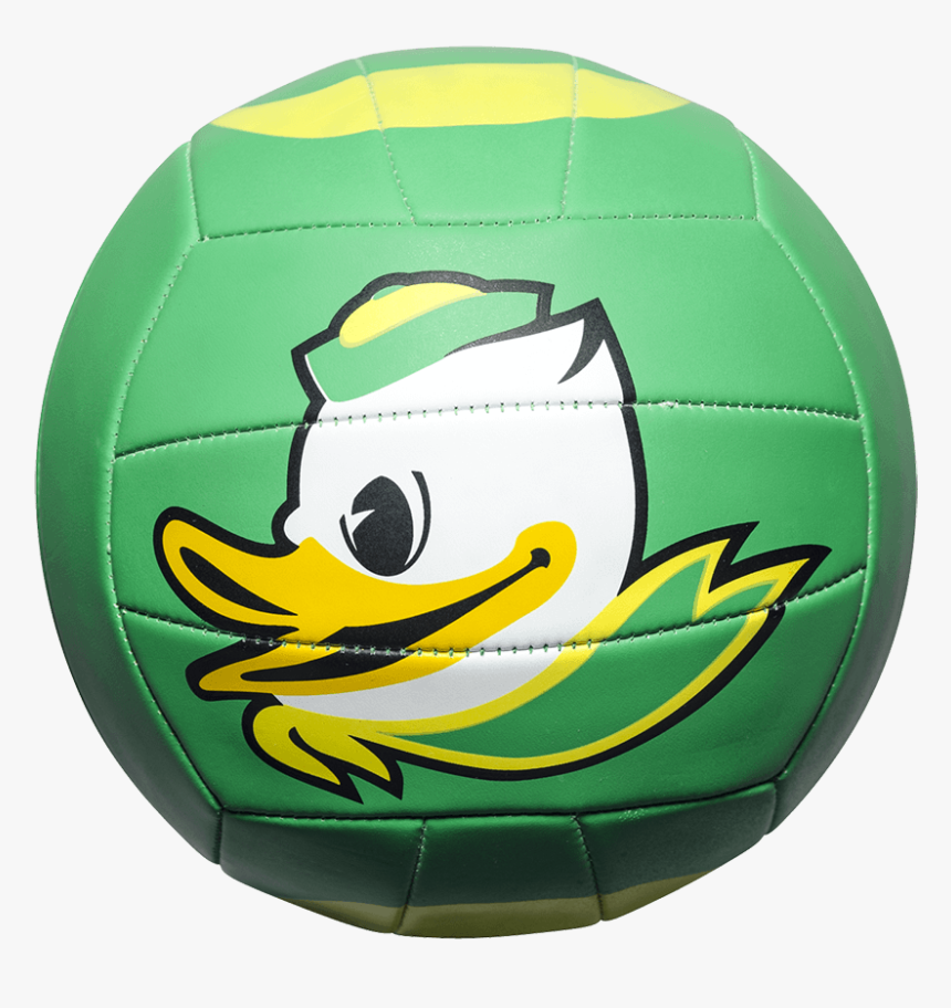 Custom Status Xcel Camp Volleyball - Futebol De Salão, HD Png Download