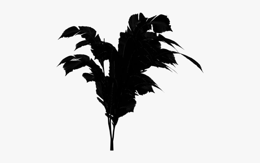 Banana Tree Leaves Png Transparent Images - Transparent Jungle Trees Png, Png Download