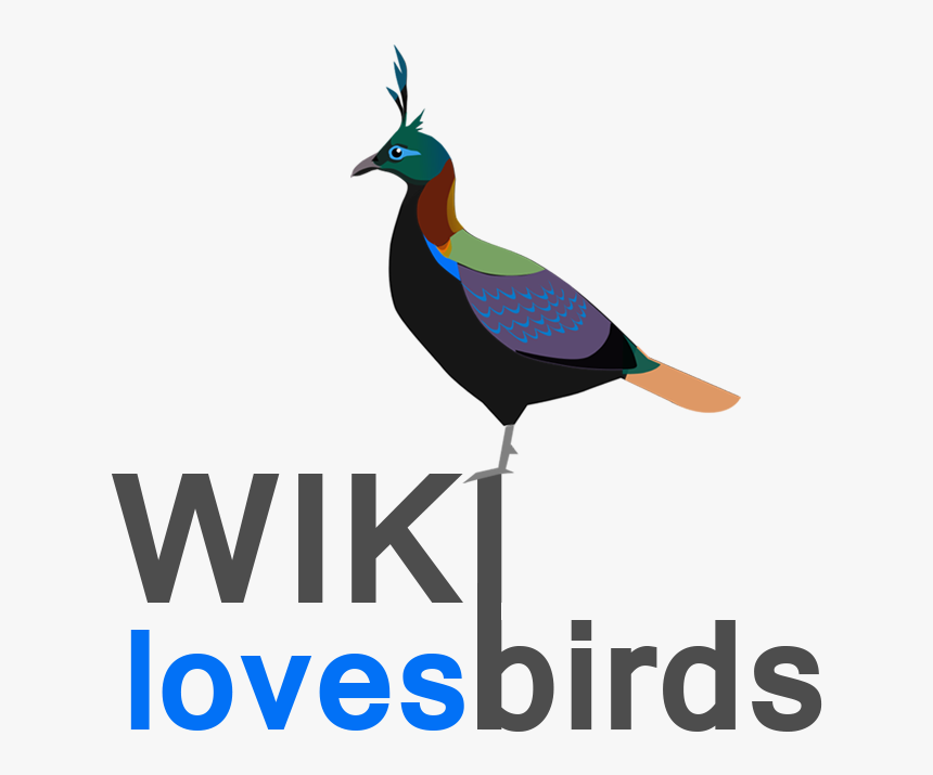 Wiki Loves Birds Logo - Lophophorus Logo, HD Png Download