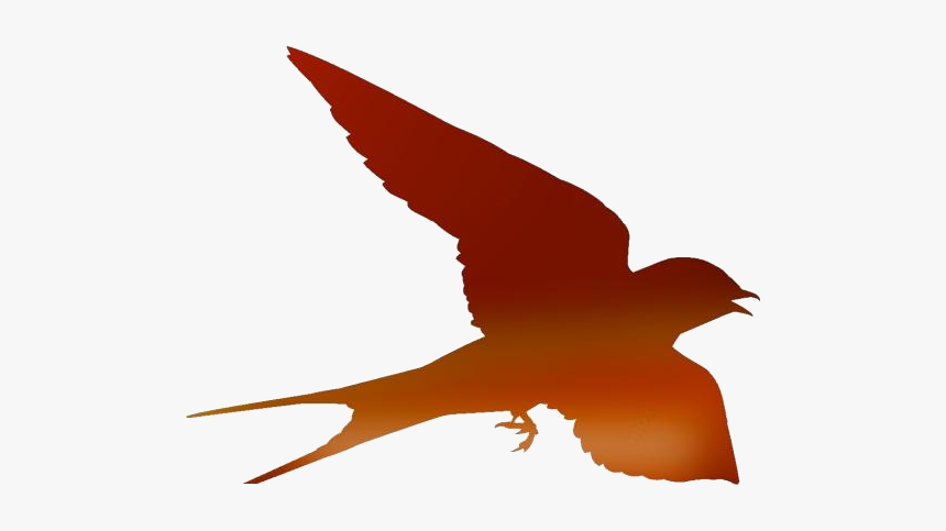 Transparent Flying Bird Png - Silhouette Swallow Bird Png, Png Download