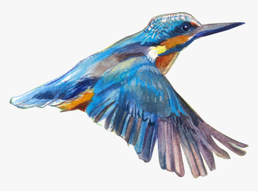 Flying Bird Transparent - Transparent Flying Bird, HD Png Download