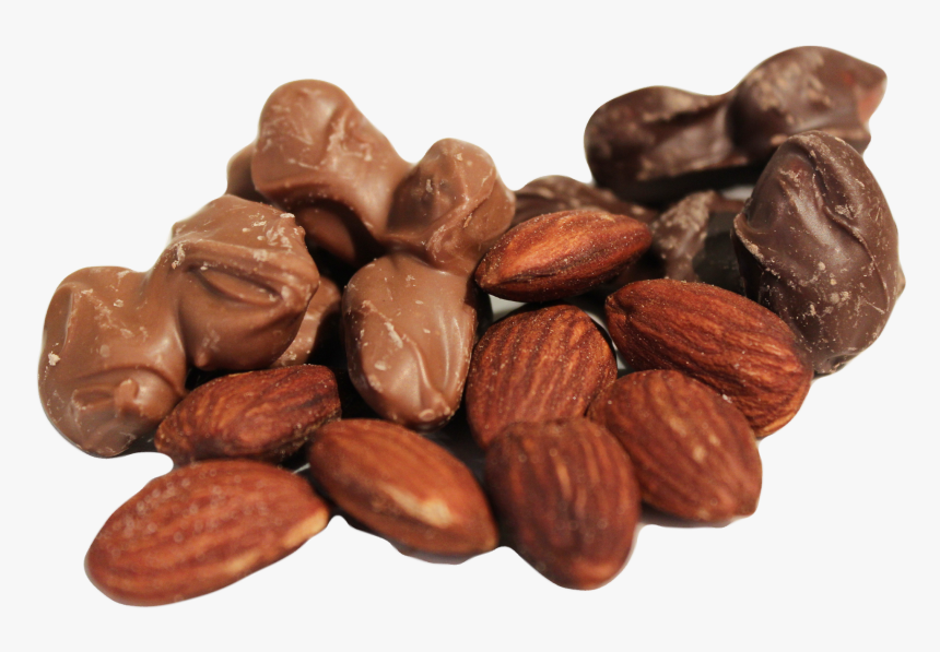 Almond, HD Png Download