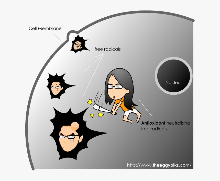Cartoon, HD Png Download