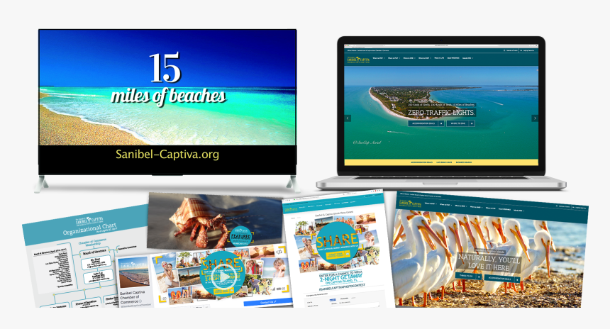 Quenzel Branding Agency Fort Myers, Florida - Online Advertising, HD Png Download