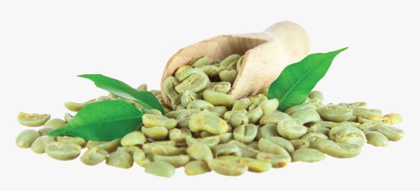 Green Coffee Grano Price In India, HD Png Download