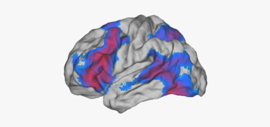 Stole, HD Png Download