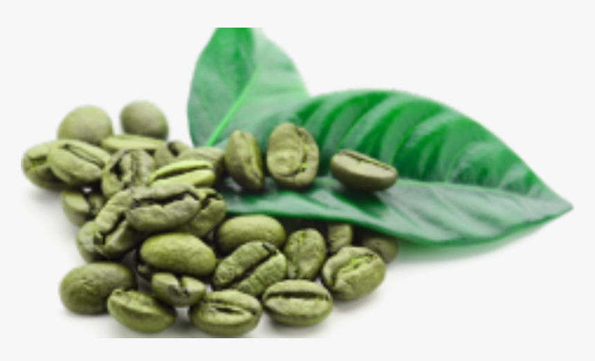 Green Coffee Beans Png, Transparent Png