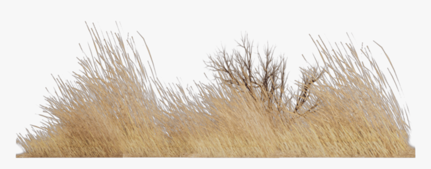 #grass #nature #old #vintage #landscape #brown - Grass, HD Png Download